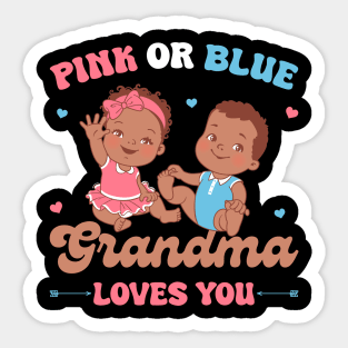 Gender Reveal Baby Shower Wear Pink And Blue Gift For Men Women Kids Sticker